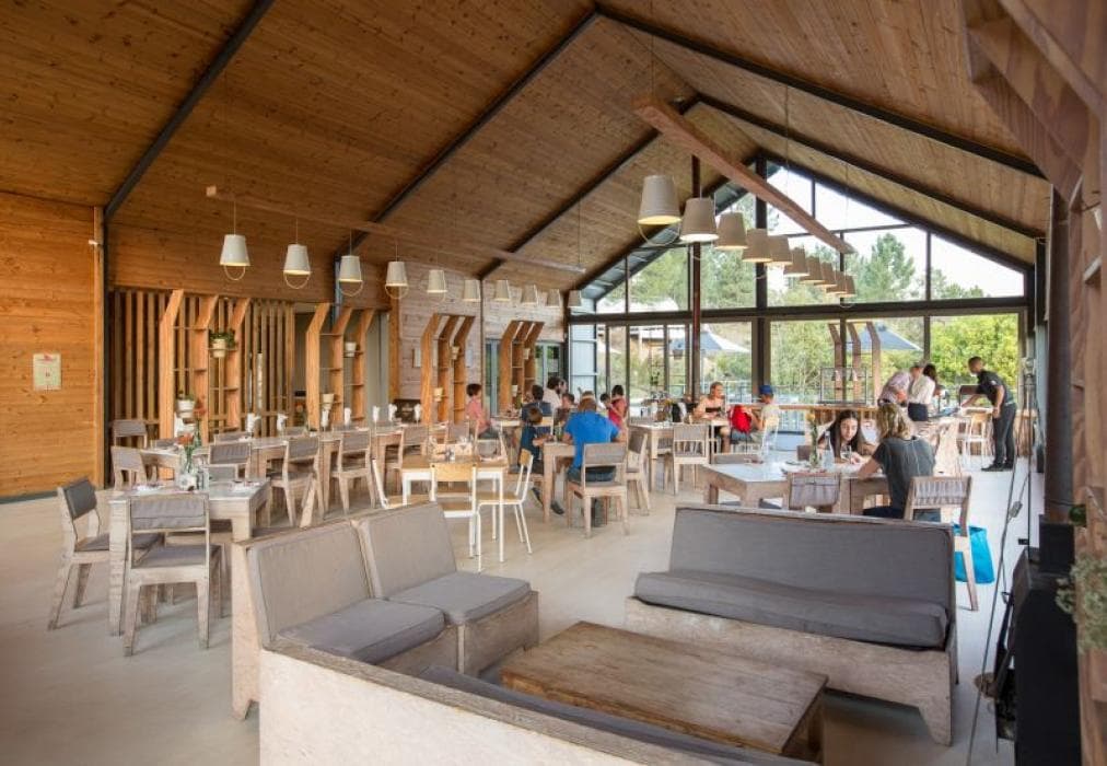 Old Mac Daddy Luxury Trailer Park