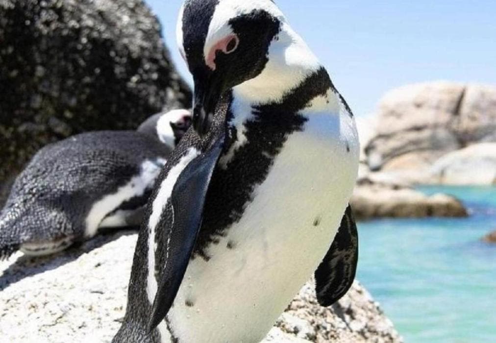 StoneBrook Apartment 2