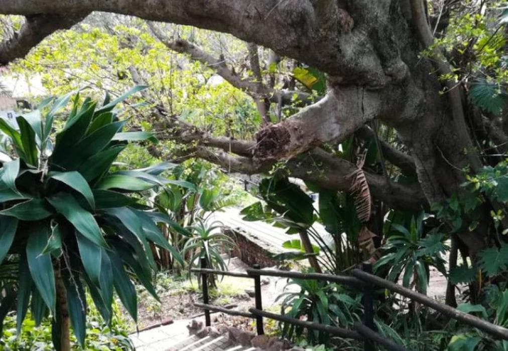 Unit 13 Villa Del Sol