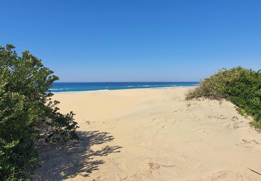 11 Manzini Chalets-Timone's Retreat