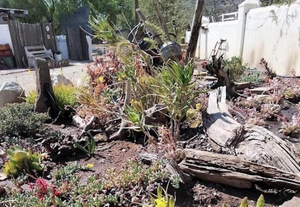 Brakdakkie Cottage 3