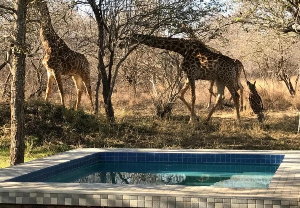 Doringpoort: Apiesdoring 1622-A Self-catering Moddervis