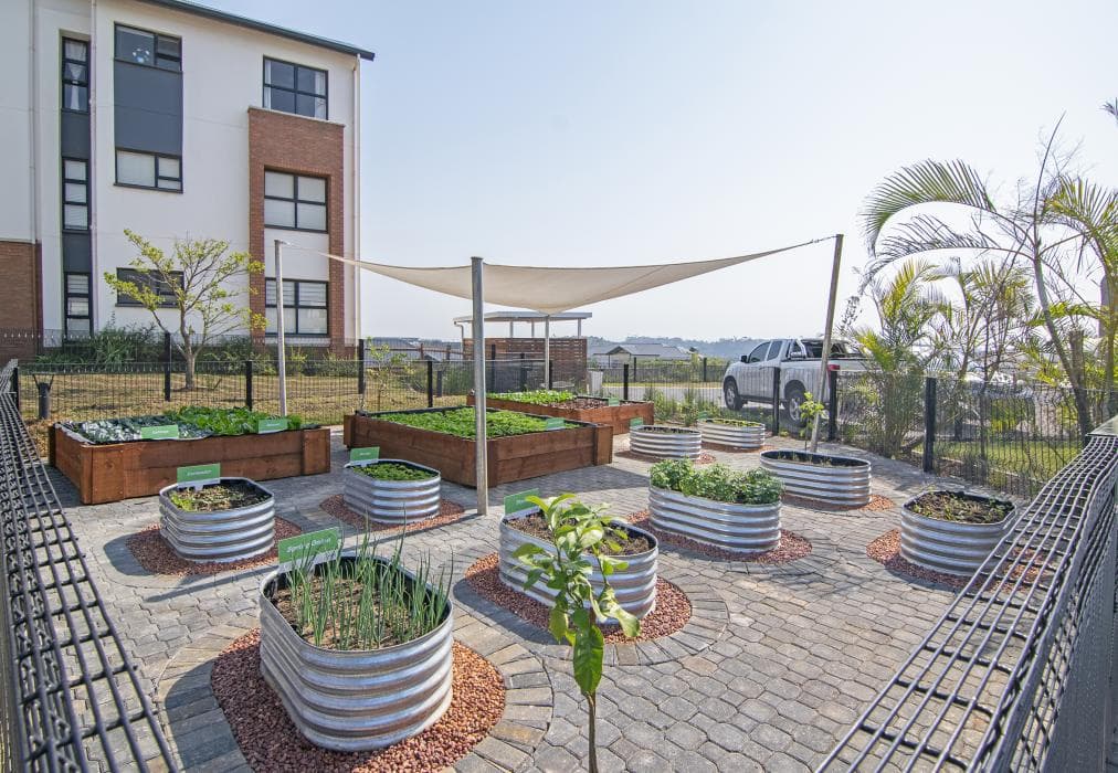 Ballito Hills Palm Tree Unit