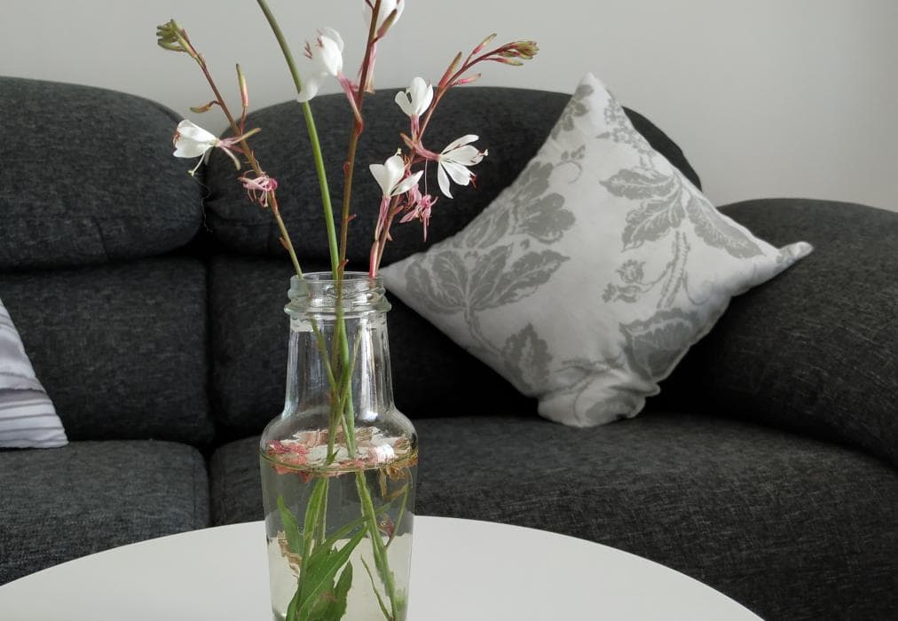 Ballito Hills Palm Tree Unit