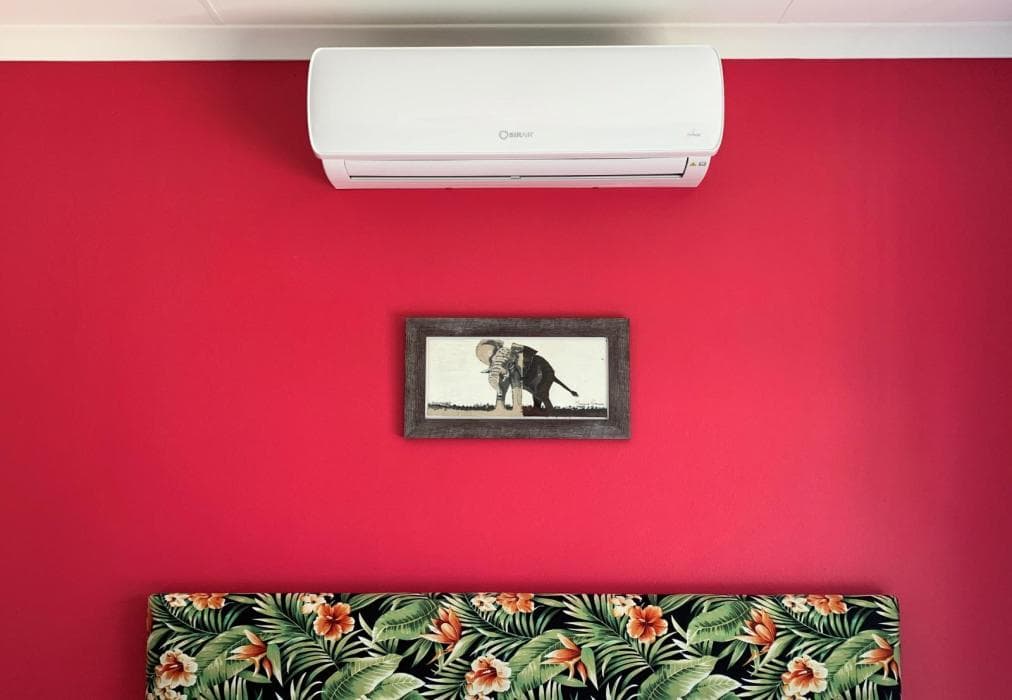 Elephant House, Mogwase