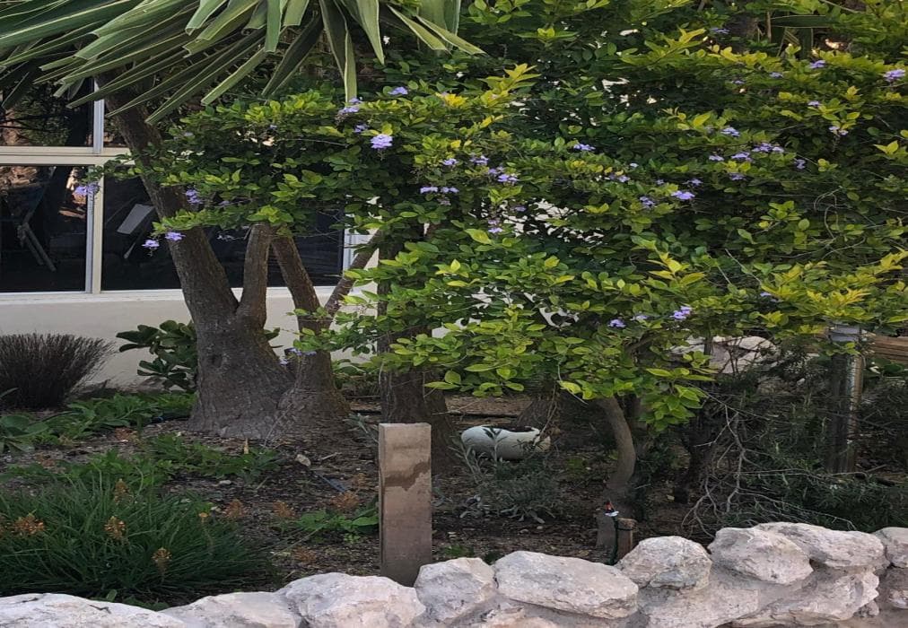 The St Helena Unit 5 Old Cape Velddrif