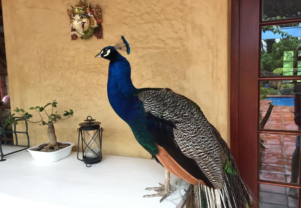 Unique Holiday House