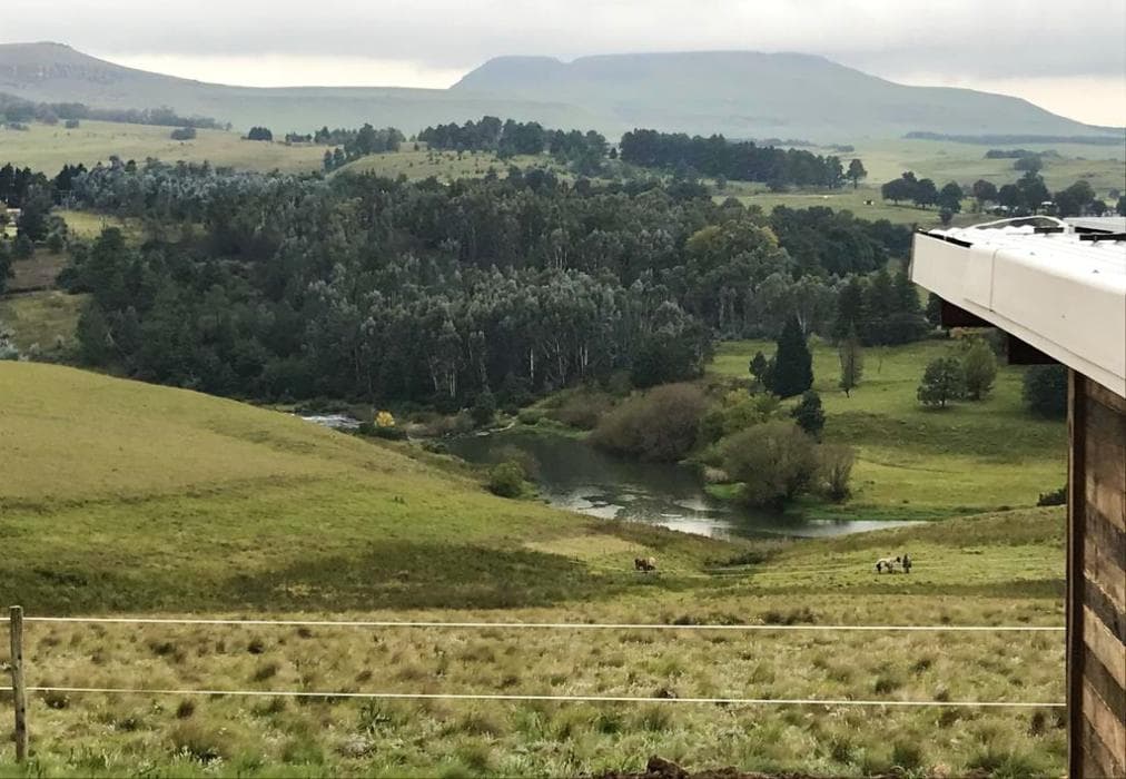 Tin Can Glamping Caravan