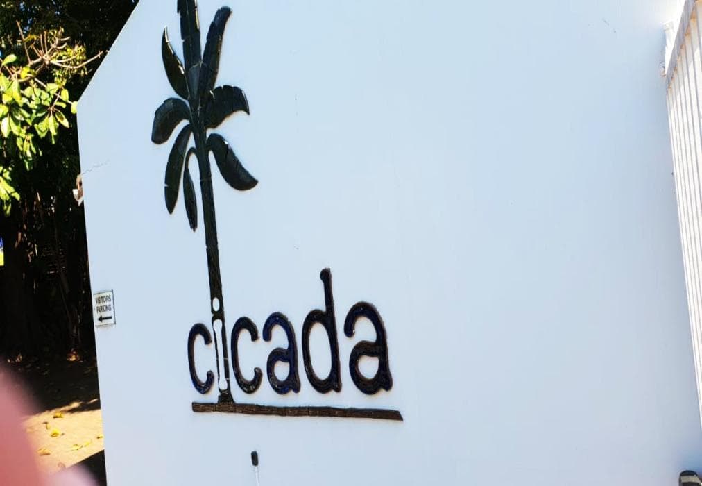 Cicada 19