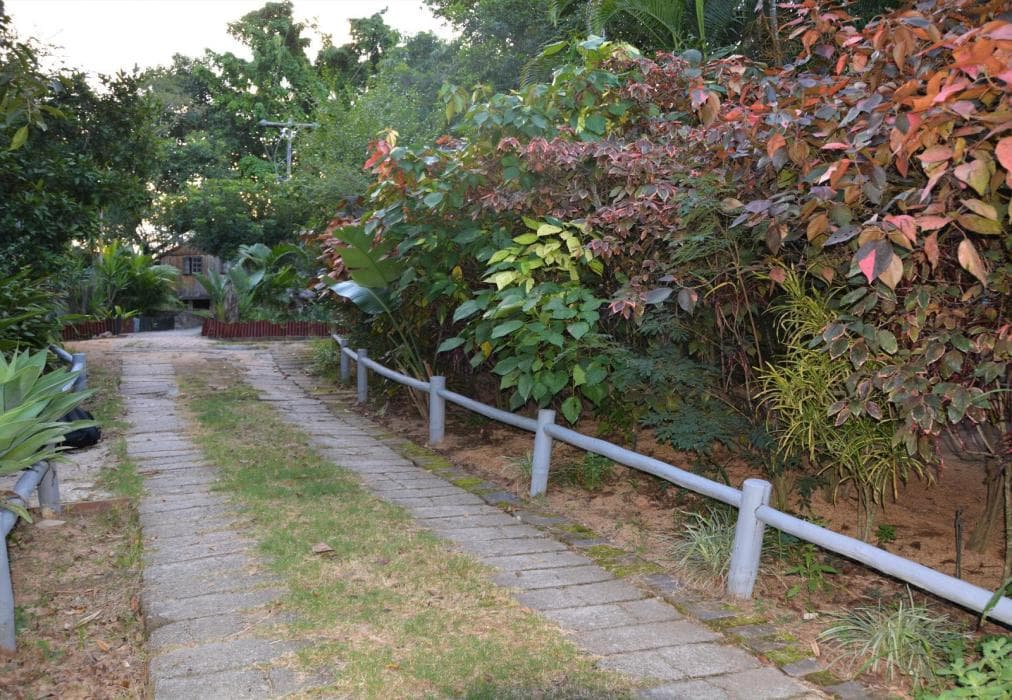 Hazyview Adventure Backpackers