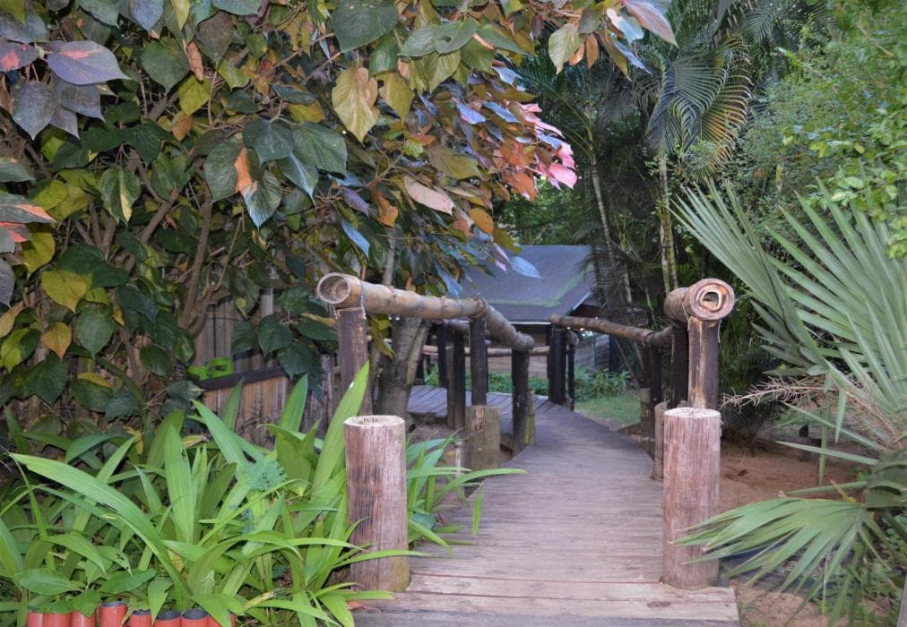 Hazyview Adventure Backpackers