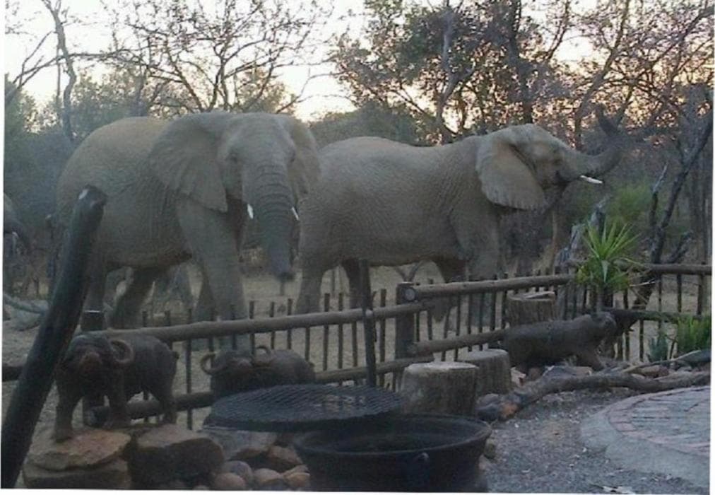 Hornbill Private Lodge Mabalingwe