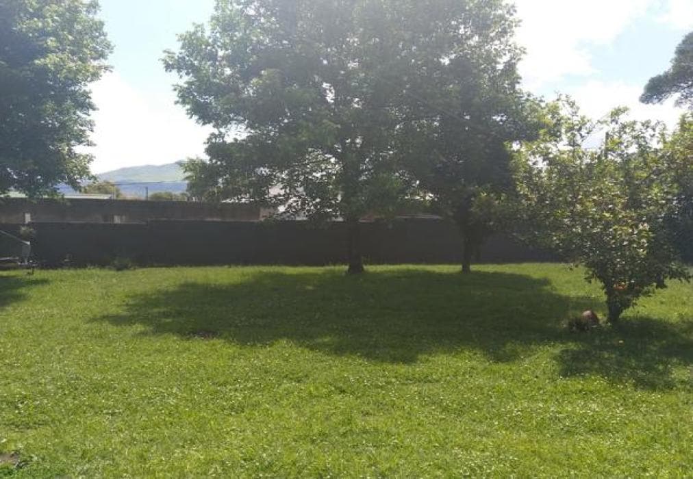 Die Opstal Thatched Roof