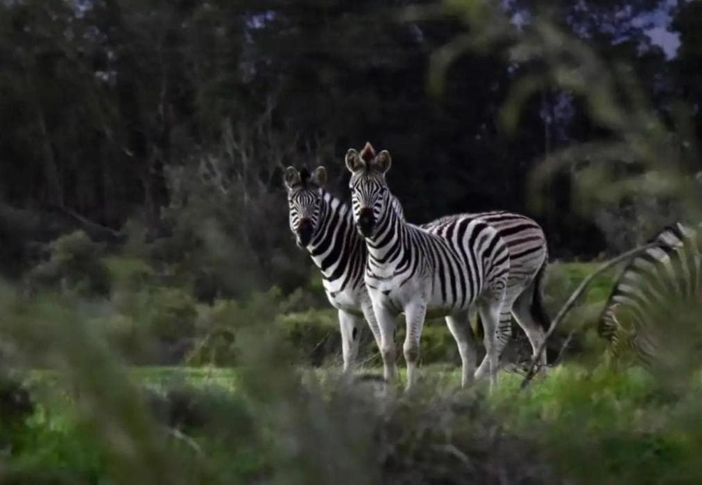 Tulbagh Mountain Cabin