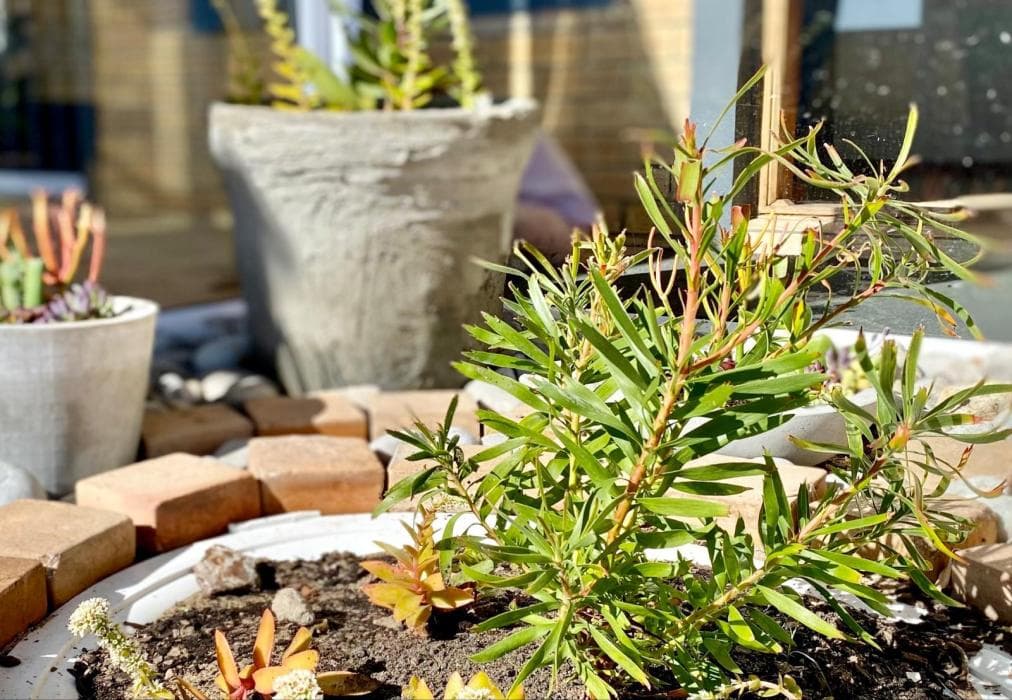 Calamari Self Catering