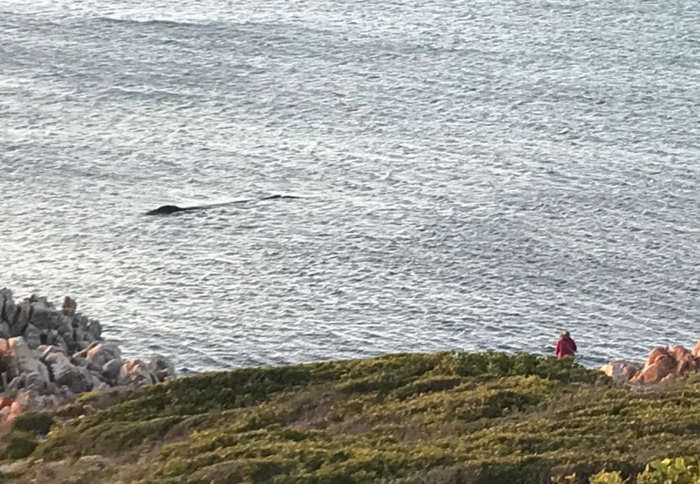 Calamari Self Catering