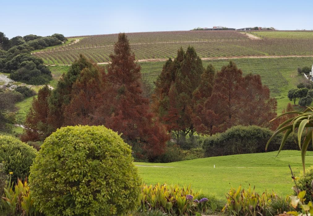 Winelands Golf Lodges 5