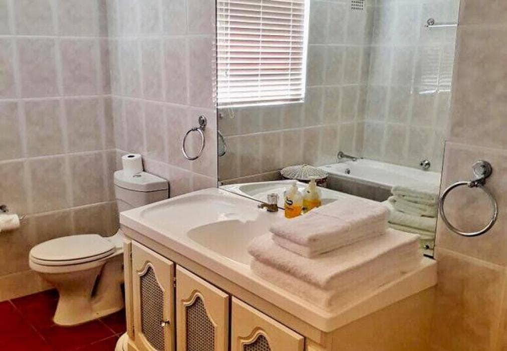 A Whale of A Time - Hermanus