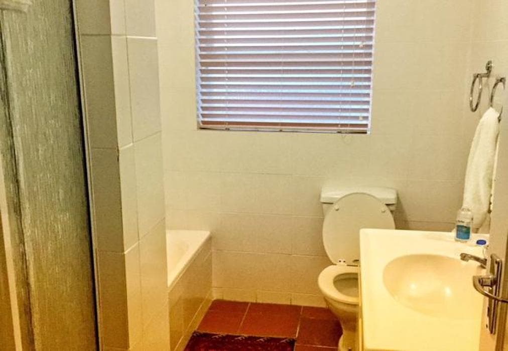 A Whale of A Time - Hermanus