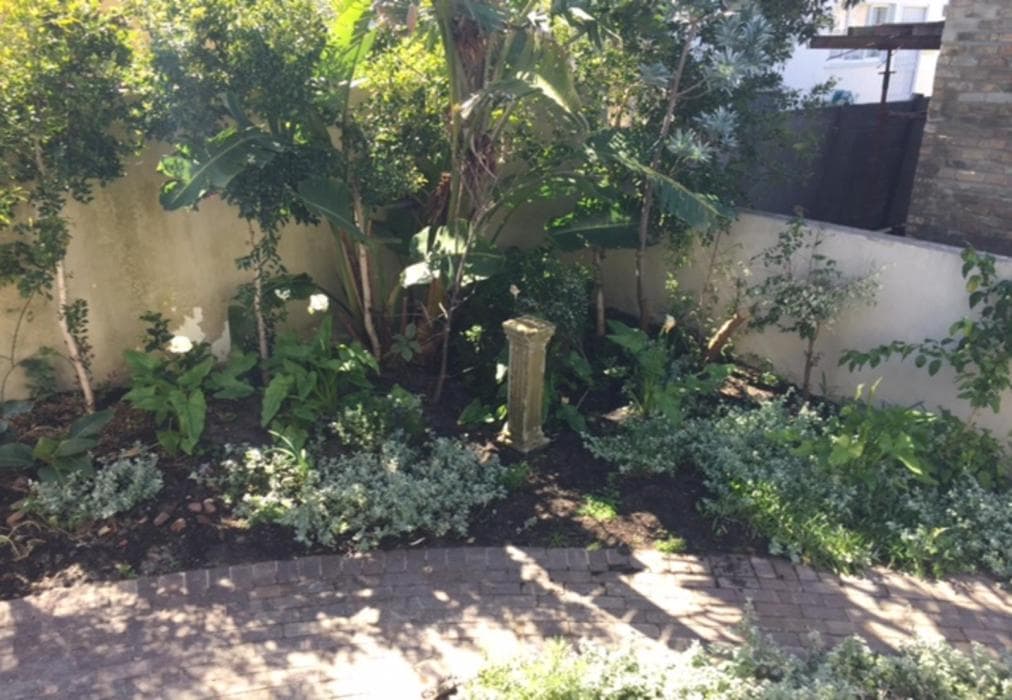 A Whale of A Time - Hermanus