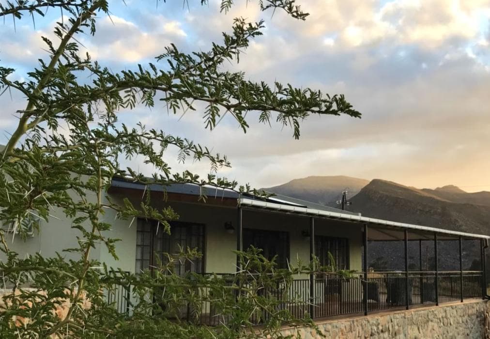 Olive Hill Guest House