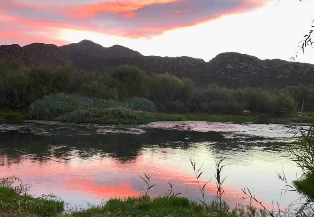 Olive Hill Guest House