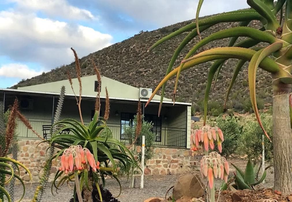 Olive Hill Guest House