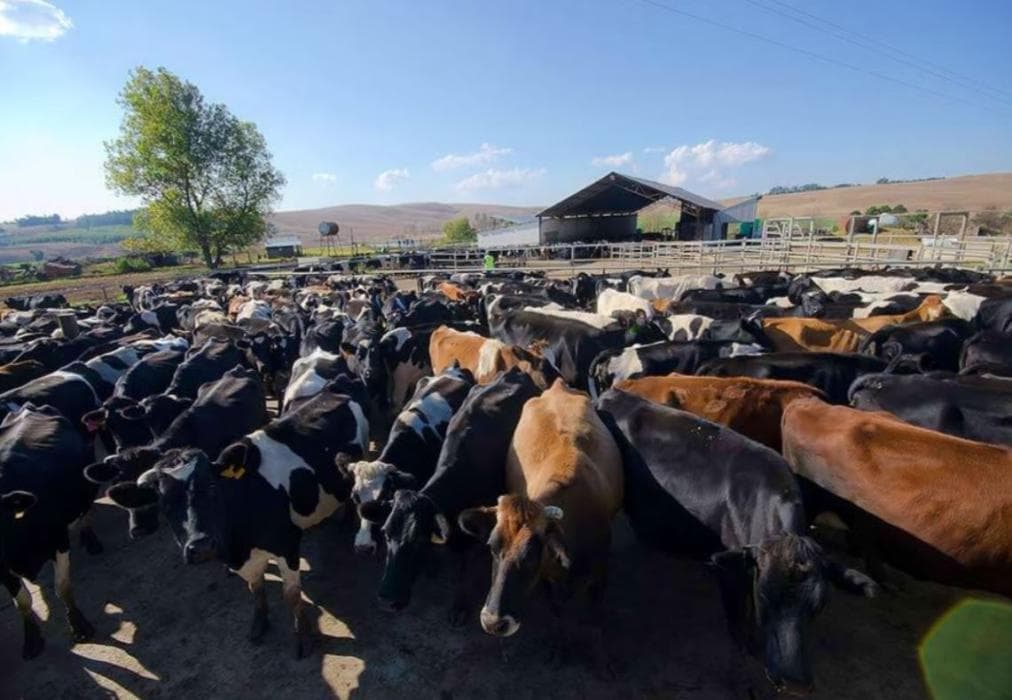 OuHout Self-catering Cottage