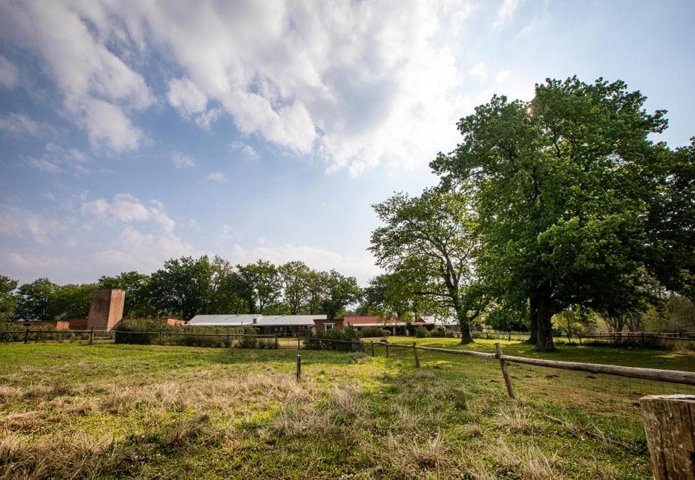 Springvale Farm - Sunflower Cottage