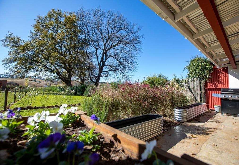 Springvale Farm - The Red Cottage