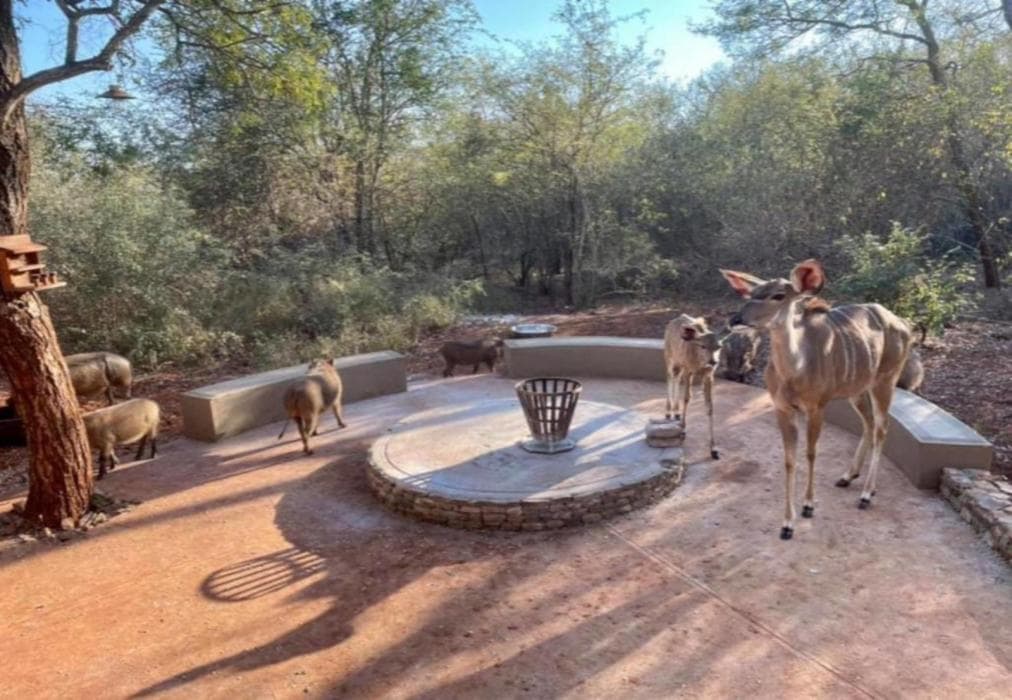 The Hedge @ Marloth Park House