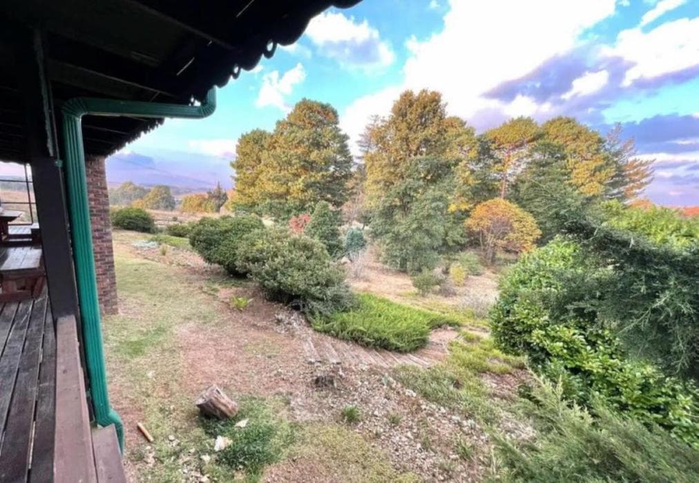 The Hedge @ Dullstroom Cottage