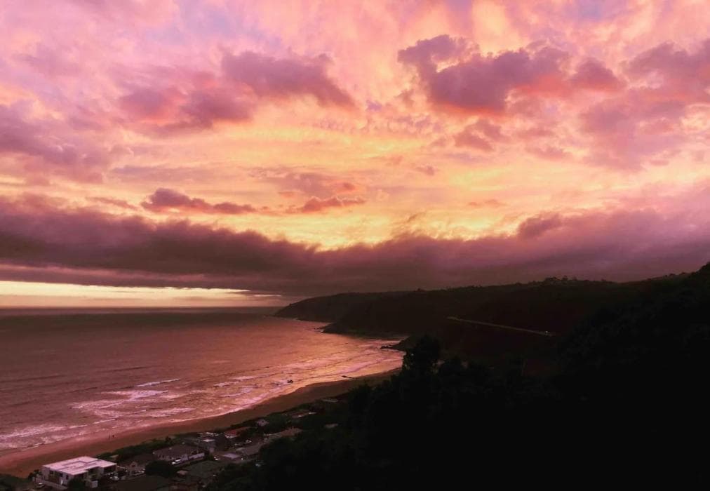 The Loft - Wilderness