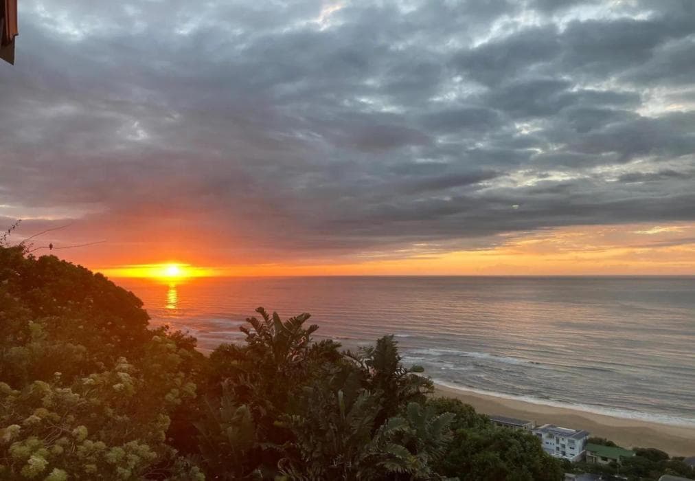 The Loft - Wilderness