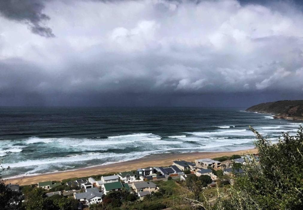 The Loft - Wilderness