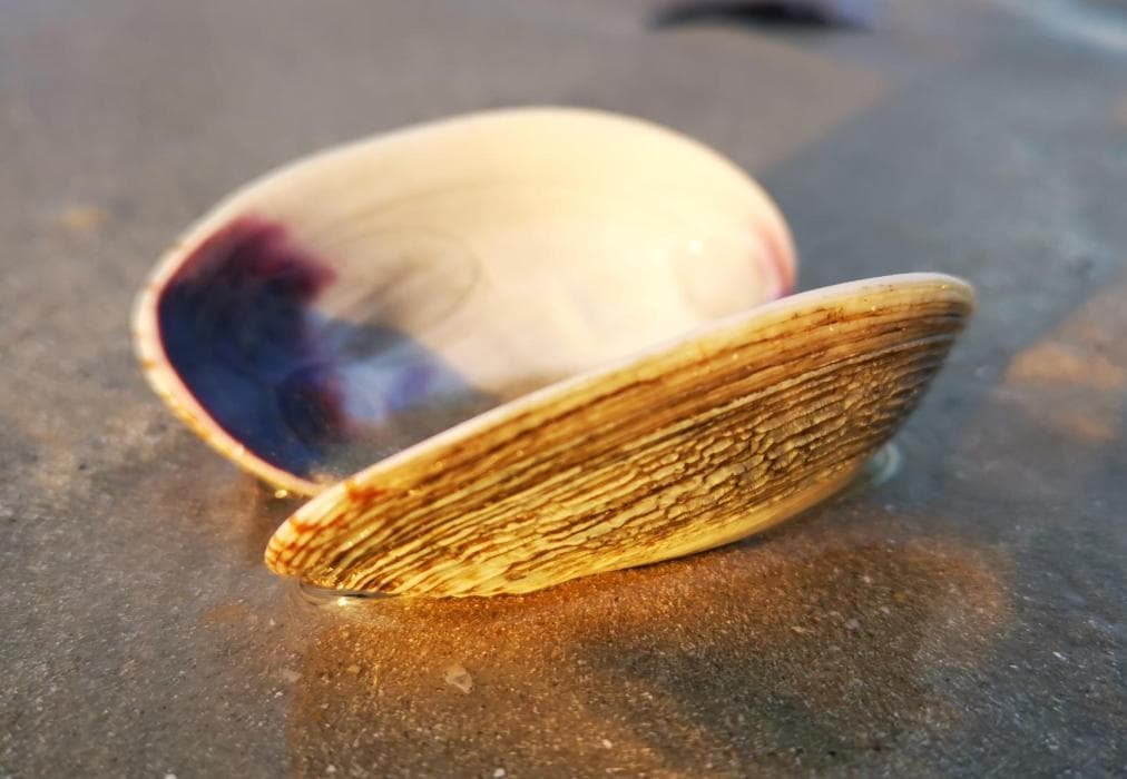 Saldanha Bay View - Panorama Drive