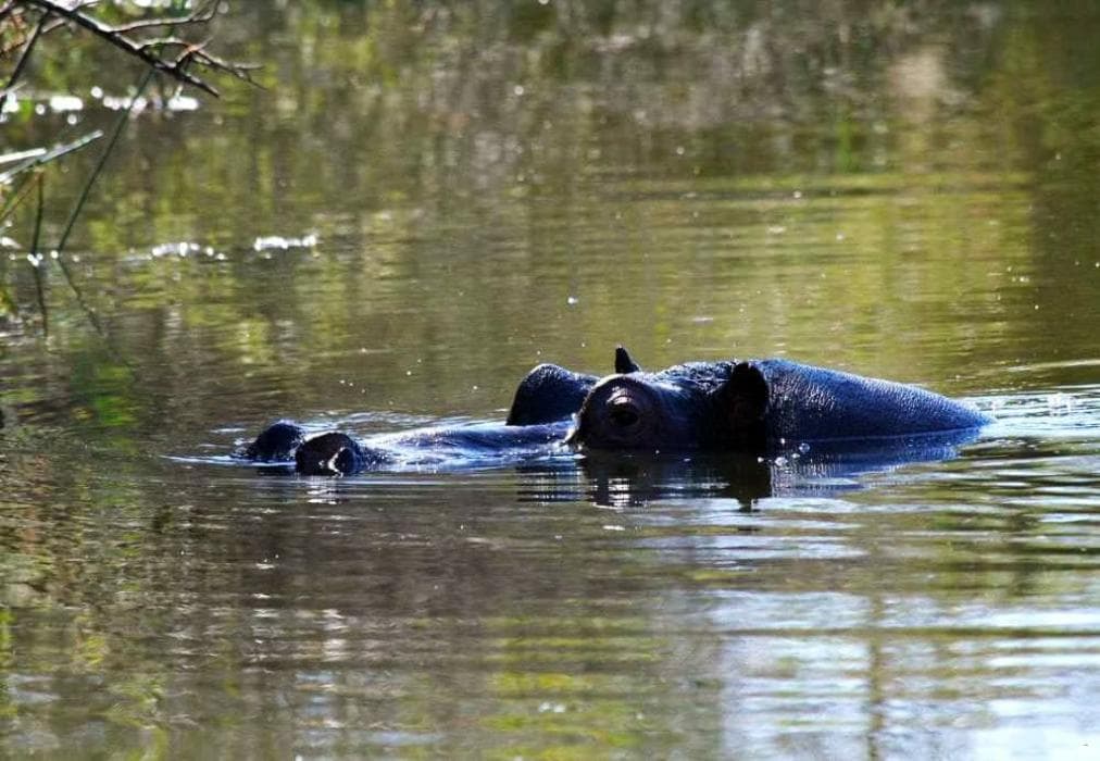 Kruger Park Lodge ITR01