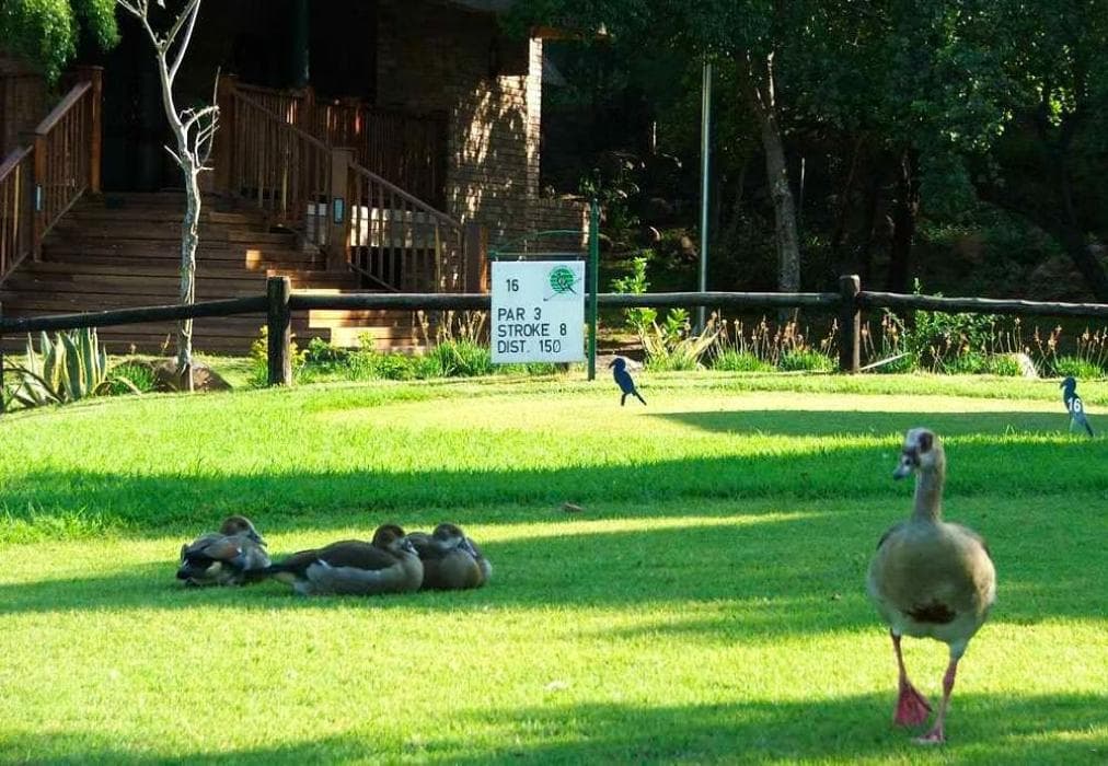 Kruger Park Lodge ITR01