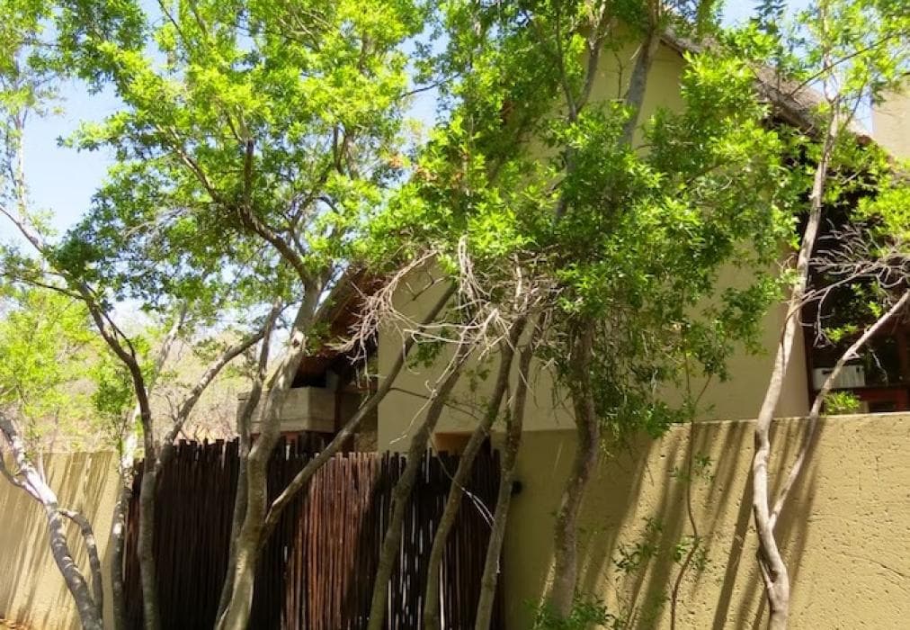 Iwa Imfene Game Lodge IMW2