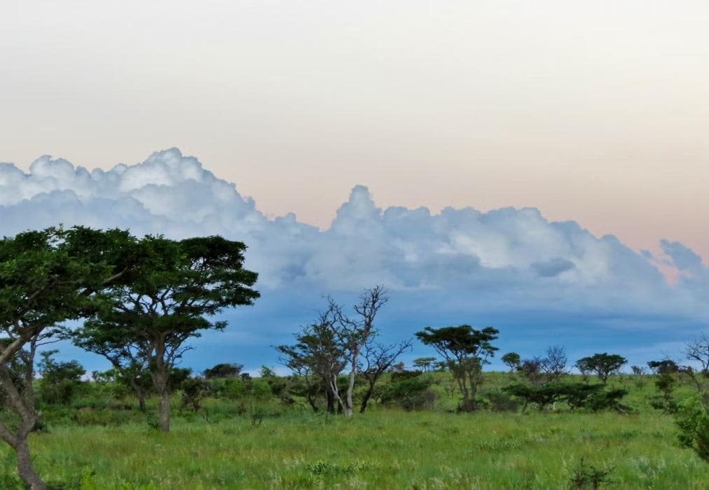 Iwa Imfene Game Lodge IMW2