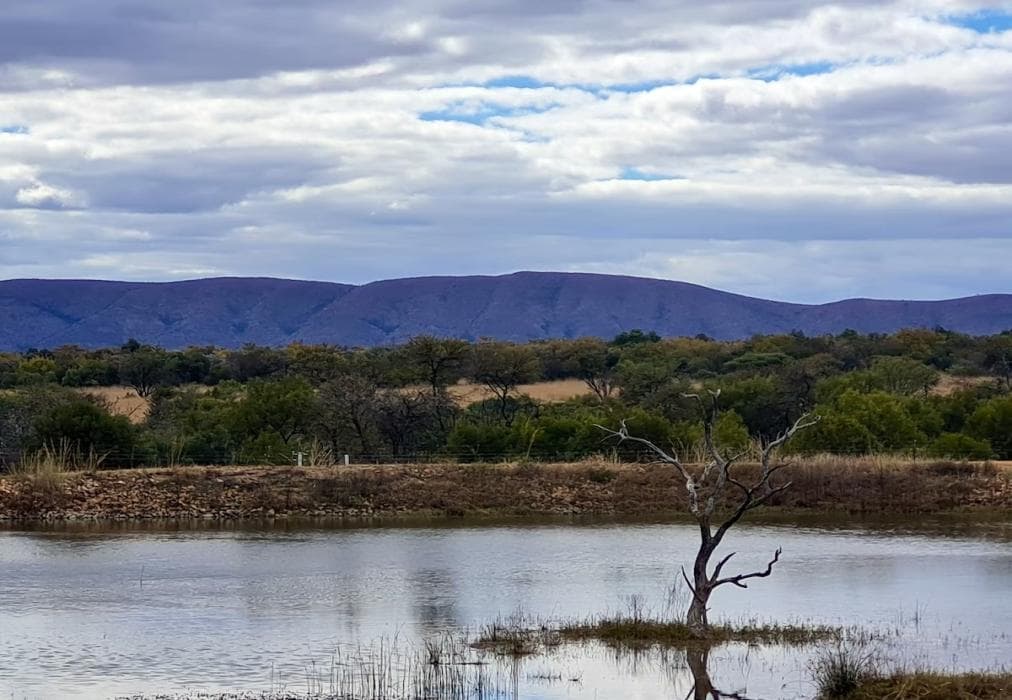 Zebula 5-Bedroom House IZN1