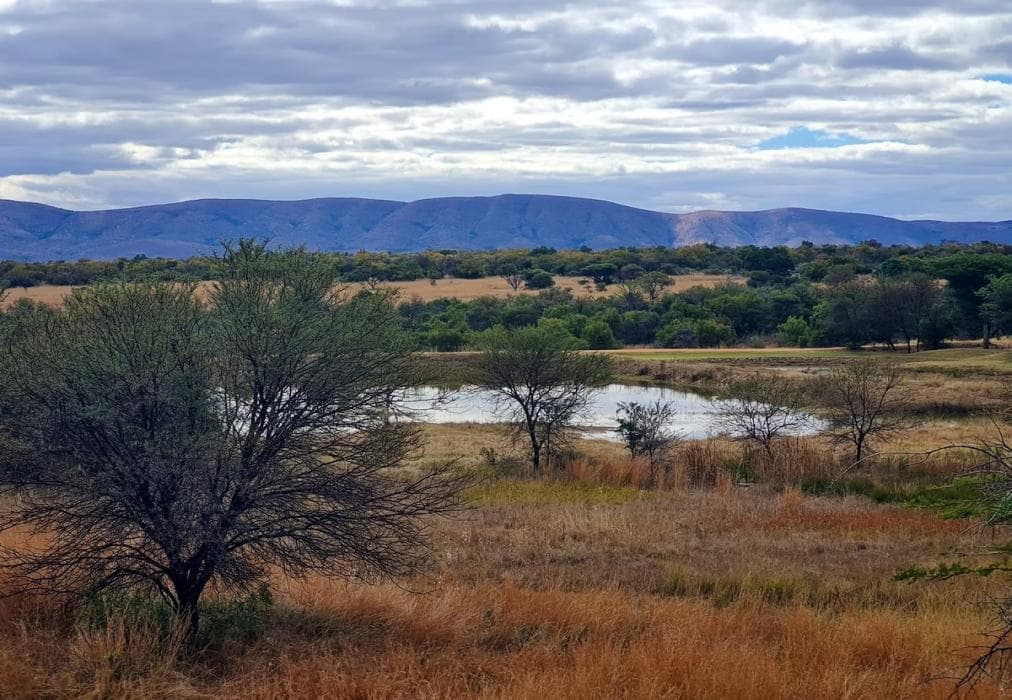 Zebula 5-Bedroom House IZN1