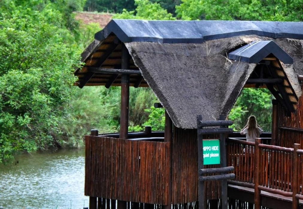 Amilalu Kruger Park Lodge AM8