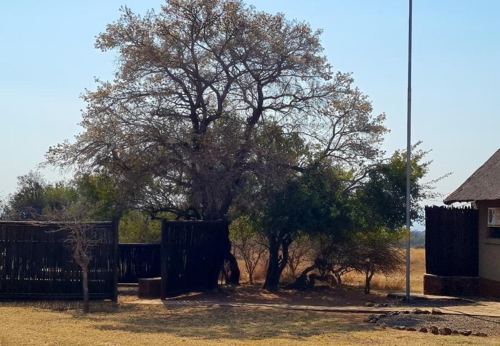 Moshate Lodge Zebula Holiday Home