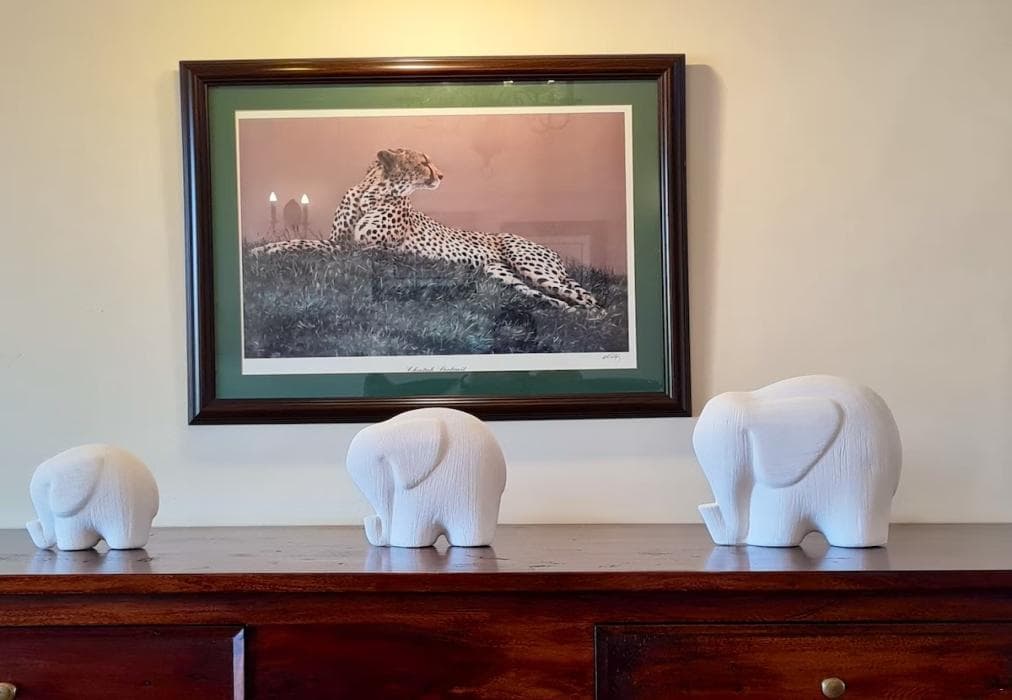 2 Zebula Waterberg over the Savannah