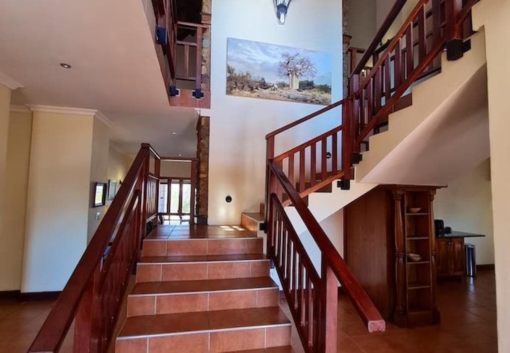 2 Zebula Waterberg over the Savannah