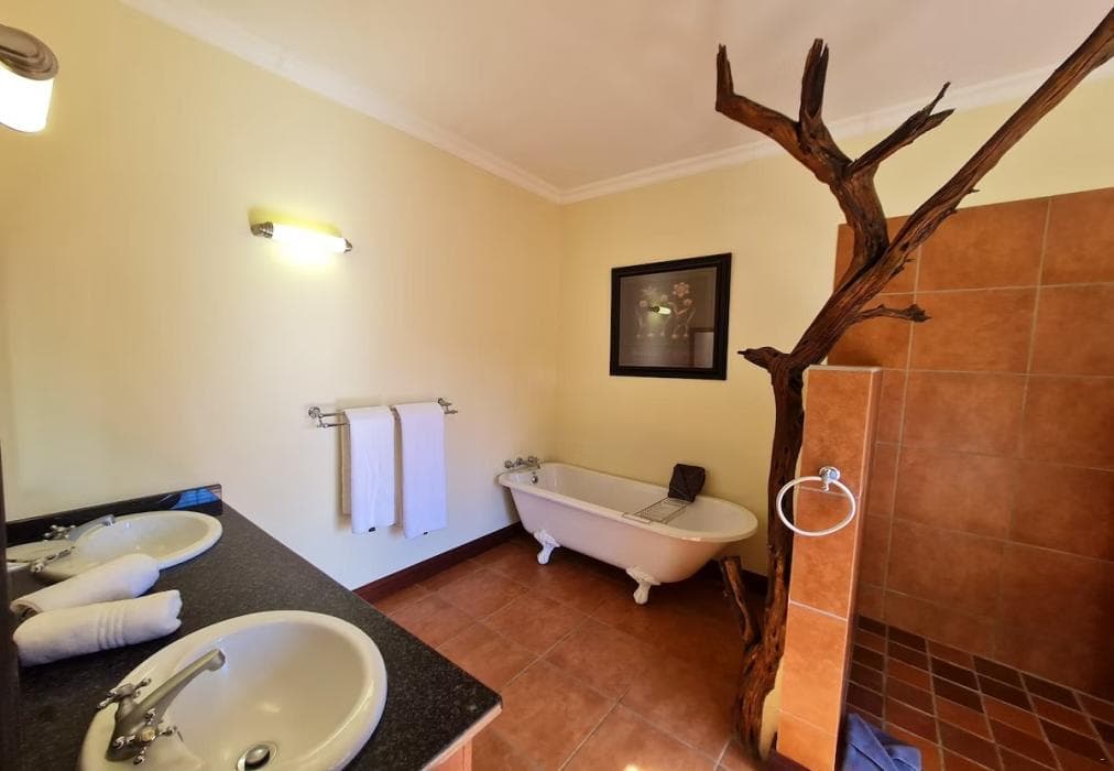 2 Zebula Waterberg over the Savannah