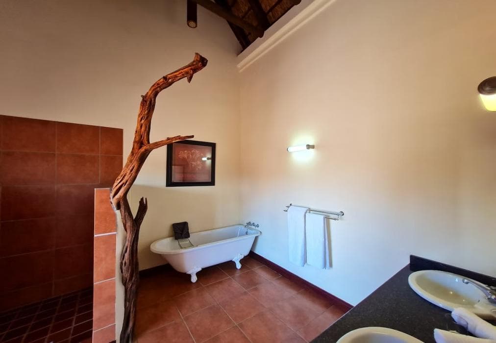 2 Zebula Waterberg over the Savannah