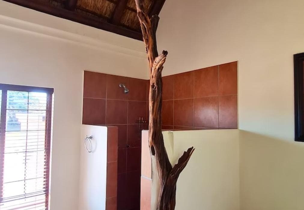 2 Zebula Waterberg over the Savannah