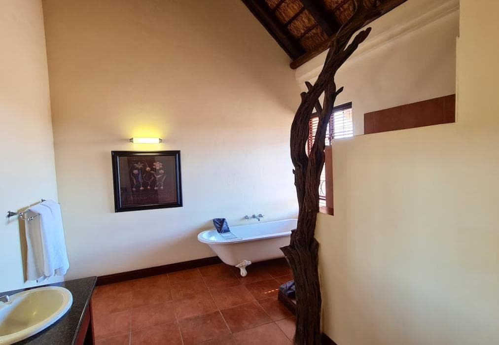 2 Zebula Waterberg over the Savannah